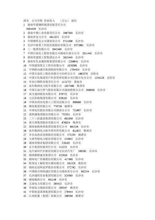 2010湖南100强企业