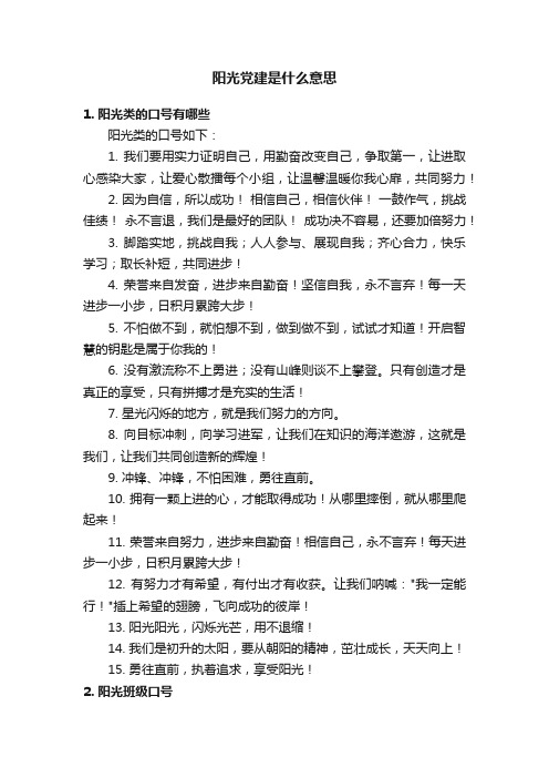 阳光党建是什么意思