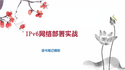 IPv6网络部署实战