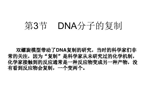 高中生物必修二第三章第3节  DNA分子的复制