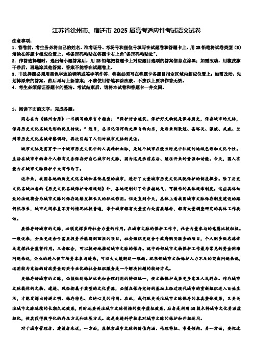 江苏省徐州市、宿迁市2025届高考适应性考试语文试卷含解析