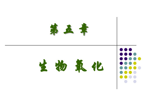 生物氧化