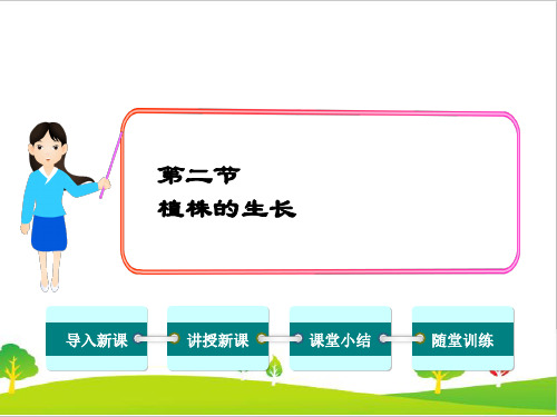 最新人教版生物七年级上册《植株的生长》精品教学课件