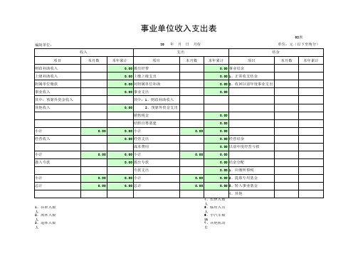 财务报表——资产负债表、收入支出表