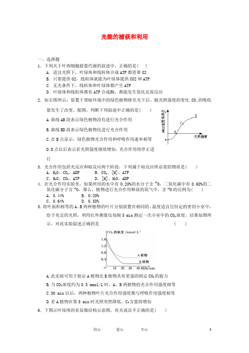 高中生物 3.2.3 光能的捕获和利用 29每课一练 中图版必修1