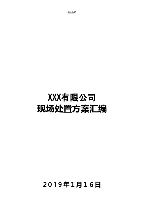 有限公司现场处置方案汇编企业安全生产规范化细则应急预案手册台账制度方案等