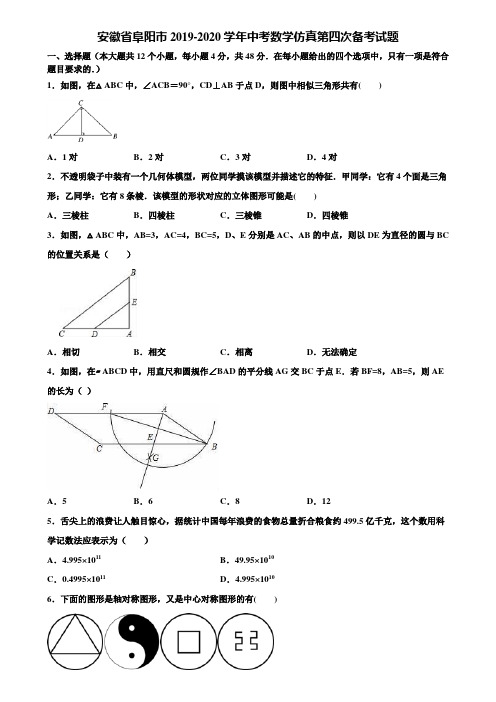 安徽省阜阳市2019-2020学年中考数学仿真第四次备考试题含解析