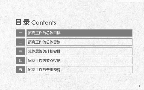 文化旅游影视基地招商思路的方案31页