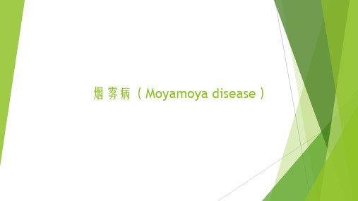 烟雾病(Moyamoya disease)