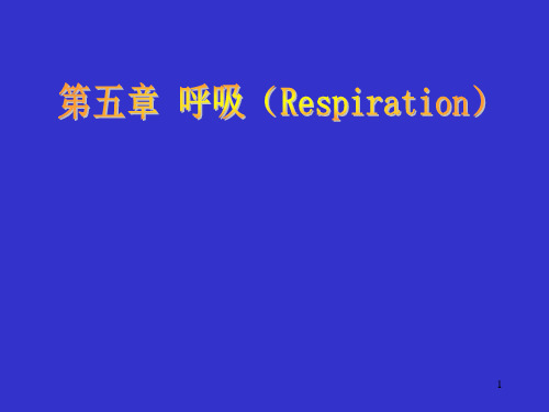 生理学：第五章 呼吸(Respiration)