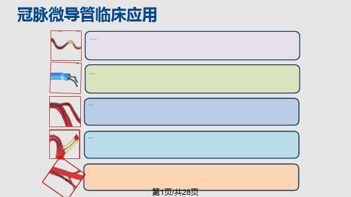 Instantpass微导管冠脉介绍年会PPT课件