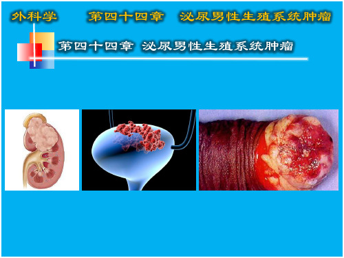 第四十四章 泌尿男性生殖系统肿瘤