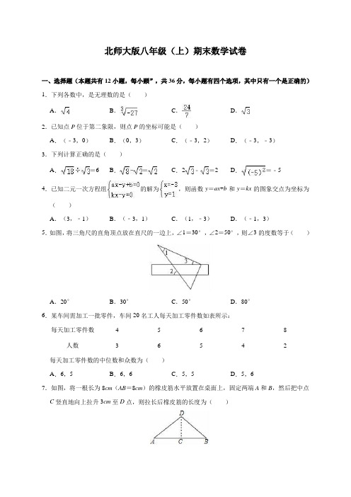 北师大版八年级(上)期末数学试卷(含解析)