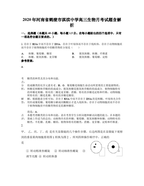 2020年河南省鹤壁市淇滨中学高三生物月考试题含解析