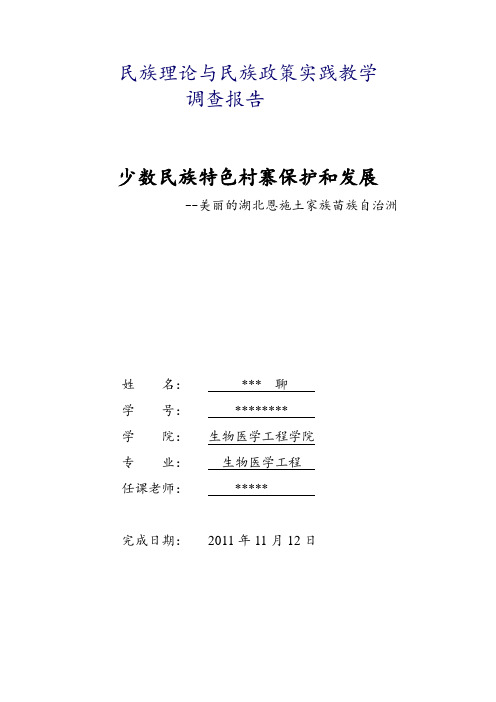 民族理论与民族政策实践教学调查报告(完整版).doc