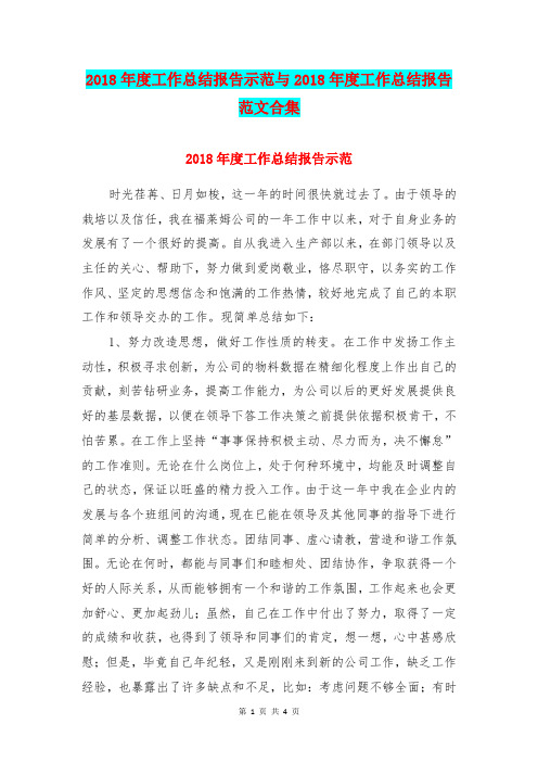 2018年度工作总结报告示范与2018年度工作总结报告范文合集