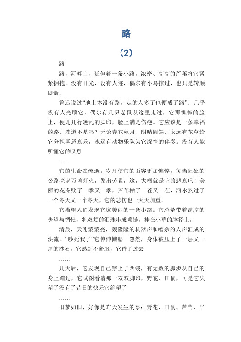 初中生满分作文:路 (2)