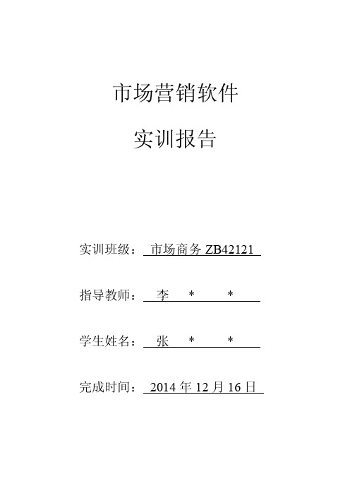 市场营销软件实训报告