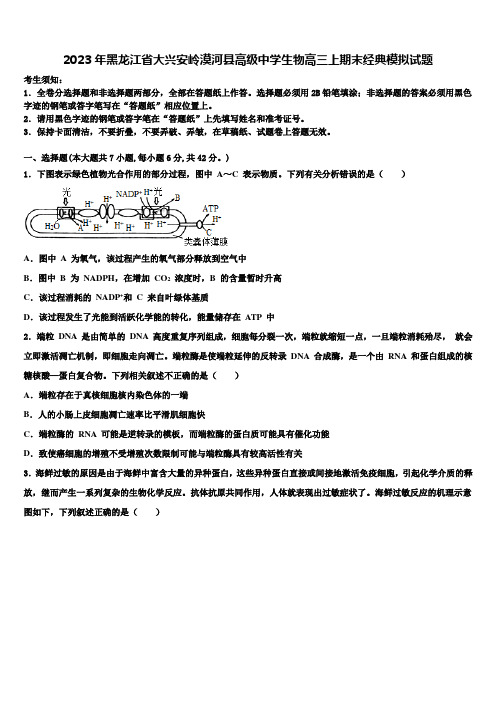 2023年黑龙江省大兴安岭漠河县高级中学生物高三上期末经典模拟试题含解析