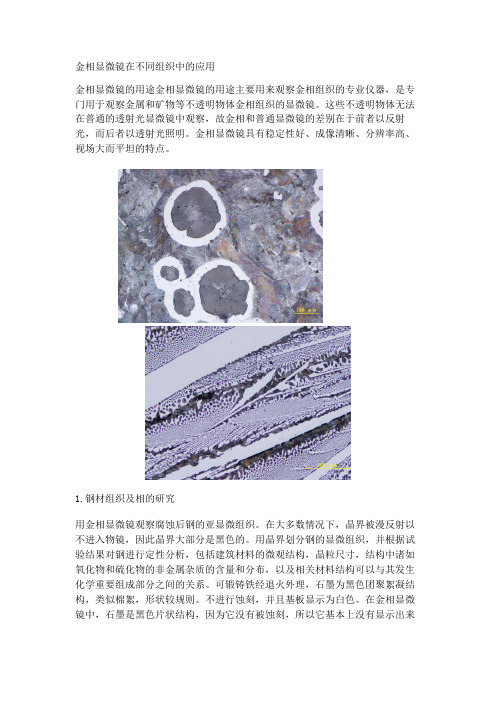 金相显微镜在不同组织中的应用