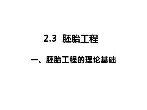 2.3.1胚胎工程的理论基础课件高二下学期生物人教版选择性必修32