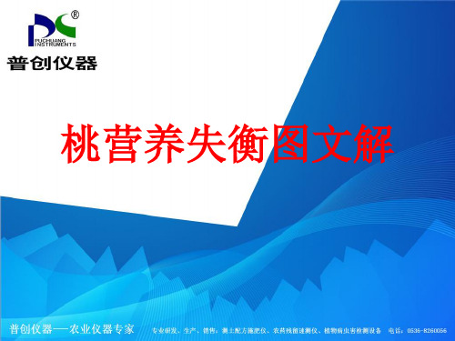 桃营养失衡图文解——桃树缺素症状图