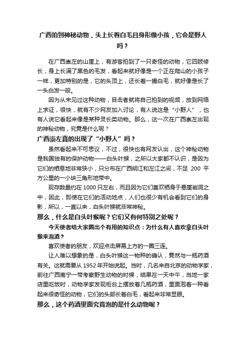 广西拍到神秘动物，头上长着白毛且身形像小孩，它会是野人吗？