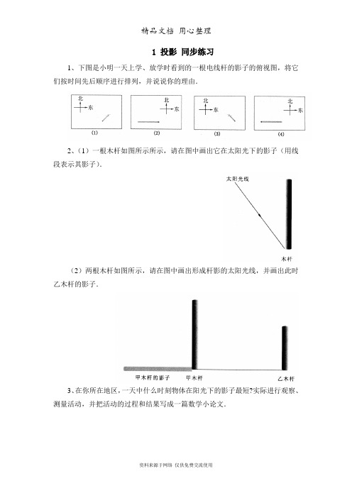 鲁教版初中数学九年级上册《投影》同步练习1