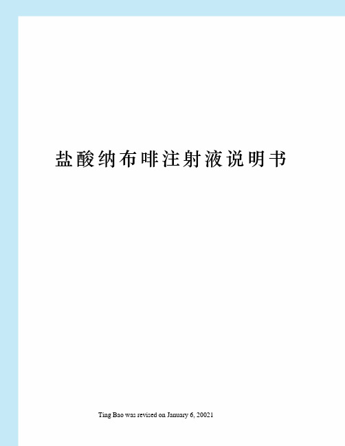 盐酸纳布啡注射液说明书