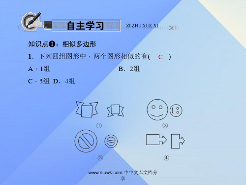 九年级数学上册232相似图形新版华东师大版
