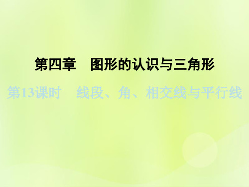 浙江省2019中考数学复习 第一篇 教材梳理 第四章《图形的认识与三角形》第13课时 线段、角、相交