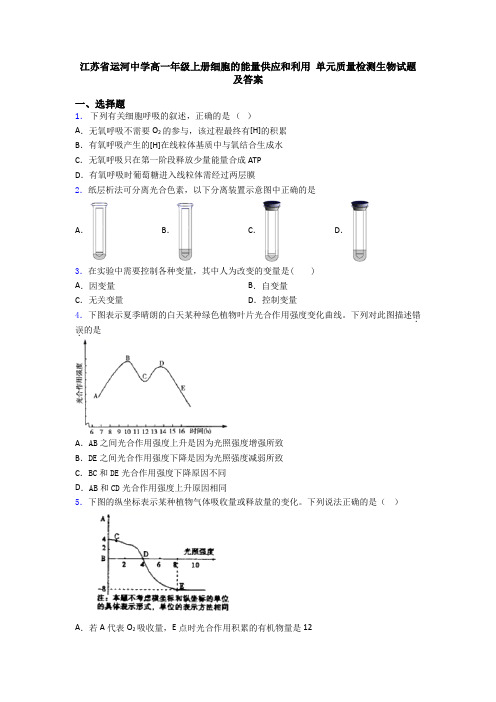 江苏省运河中学高一年级上册细胞的能量供应和利用 单元质量检测生物试题及答案