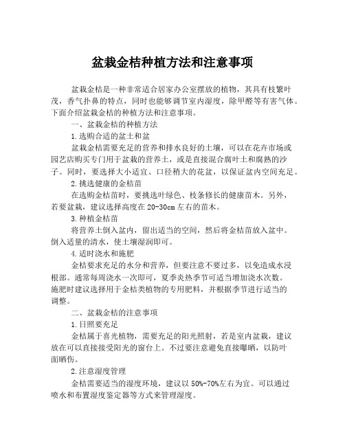 盆栽金桔种植方法和注意事项