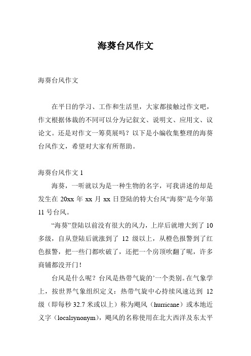 海葵台风作文
