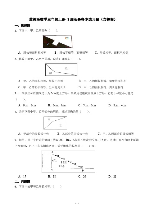 苏教版数学三年级上册 周长是多少练习题(含答案)