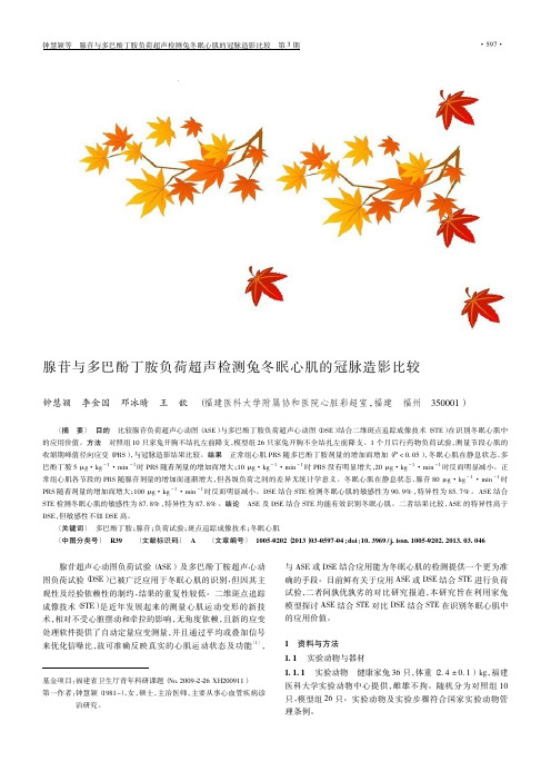 腺苷与多巴酚丁胺负荷超声检测兔冬眠心肌的冠脉造影比较