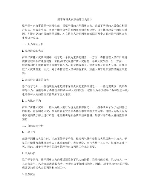 梁平深林火灾事故原因是什么