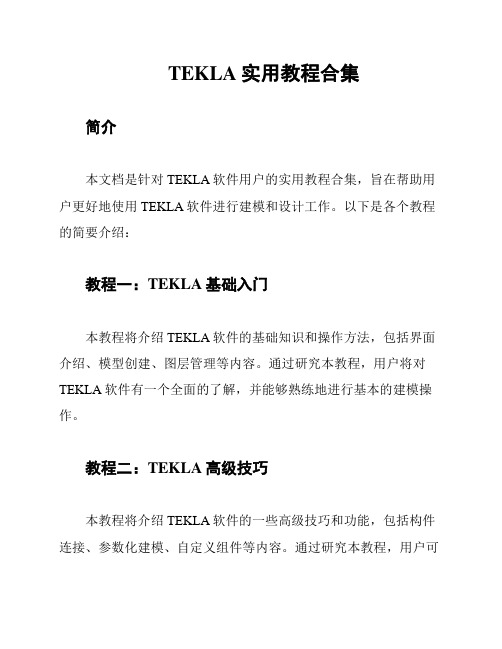 TEKLA实用教程合集