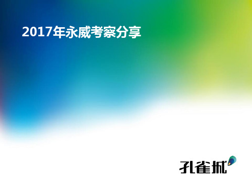 郑州永威考察报告(2017年)