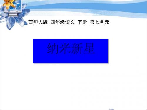 《纳米新星》PPT课件