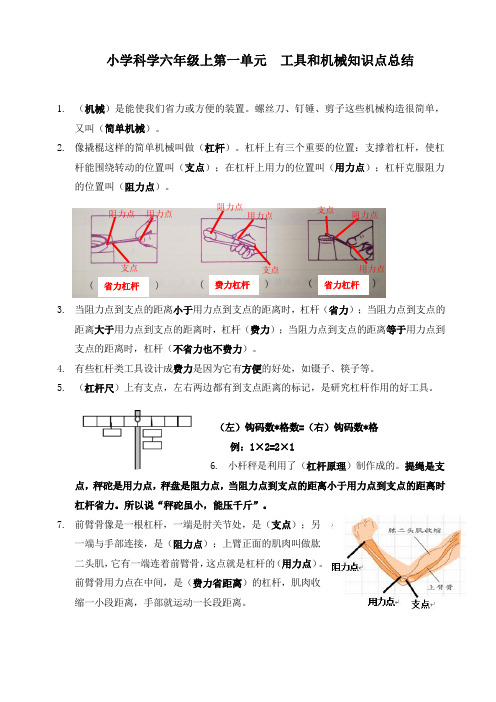 第一单元工具和机械知识点总结(素材)-六年级上册科学-教科版