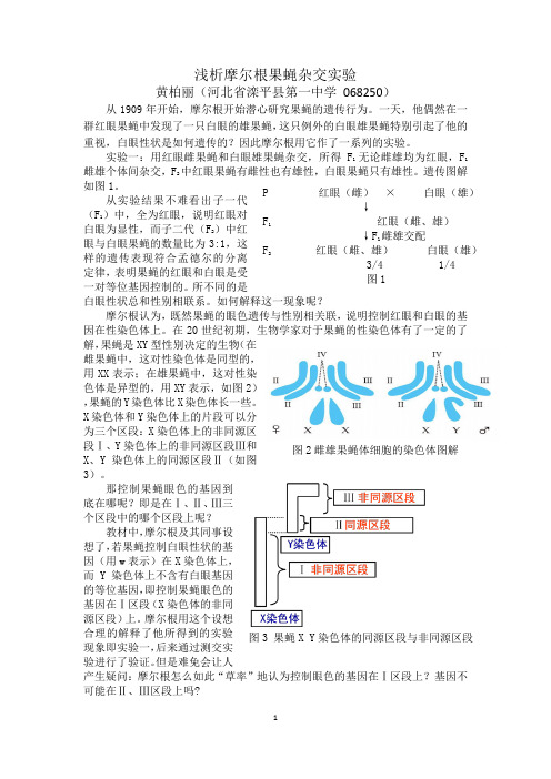 浅析摩尔根果蝇杂交实验