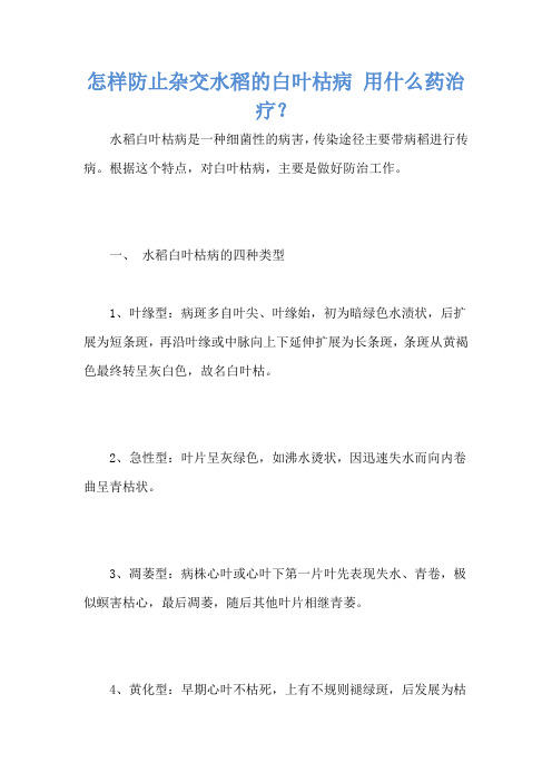 怎样防止杂交水稻的白叶枯病 用什么药治疗？