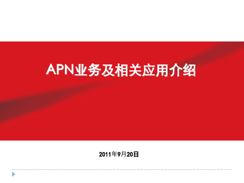 APN业务介绍