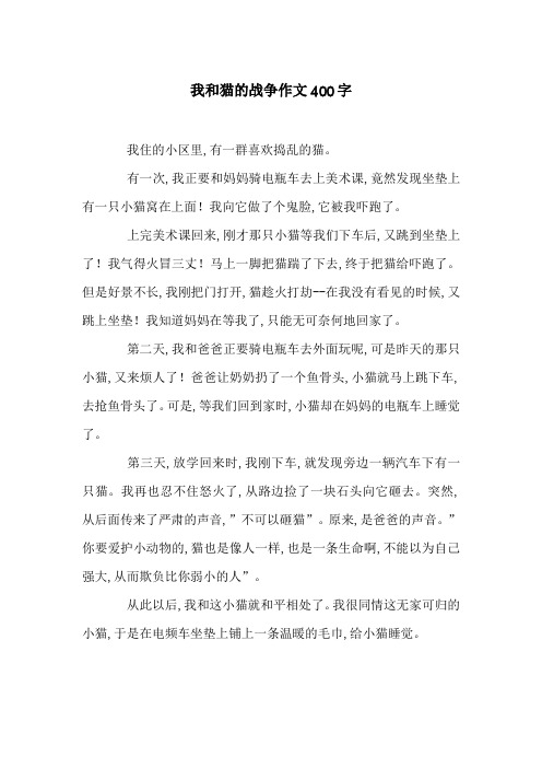 我和猫的战争作文400字