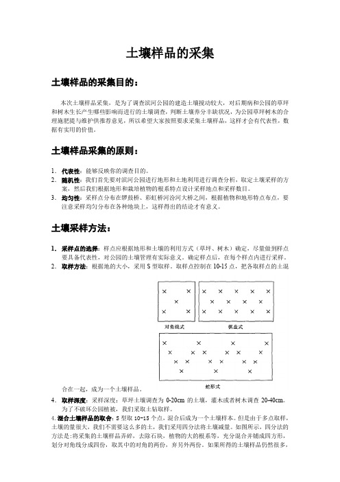 土壤样品的采集