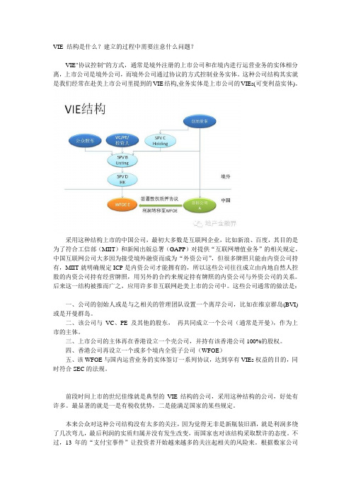 VIE 结构是什么？建立的过程中需要注意什么问题？