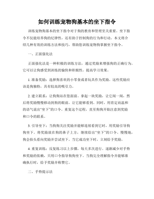 如何训练宠物狗基本的坐下指令