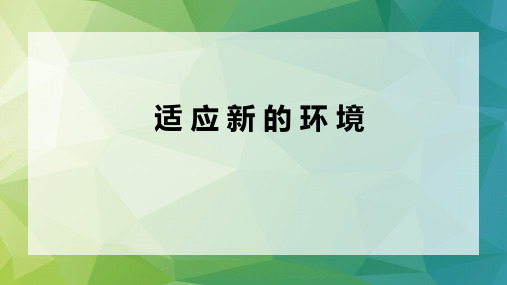 适应新的环境 课件--2024-2025学年高一上学期心理健康教育课(通用版)