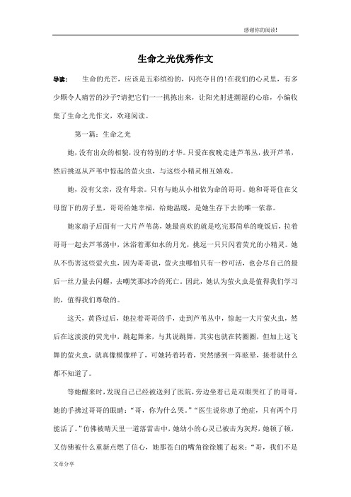 生命之光优秀作文